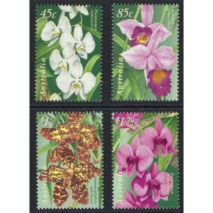 Orchids