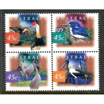 Birds from Wetlands