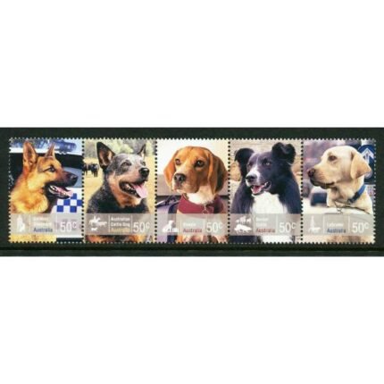 Dogs